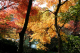 image0000