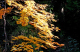 image0002