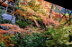 image0003