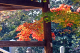 image0004