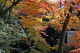 image0006