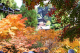 image0007