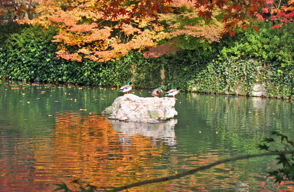 image0005