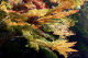 image0002