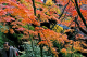 image0003