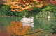 image0005