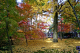 image0006