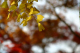 image0007
