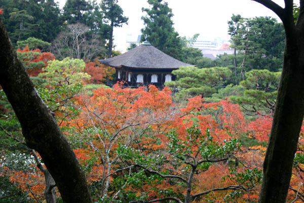 image0008