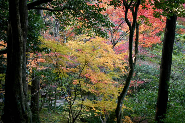 image0009