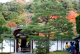 image0000