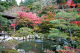 image0002