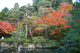 image0003