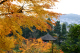 image0006