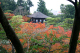 image0008