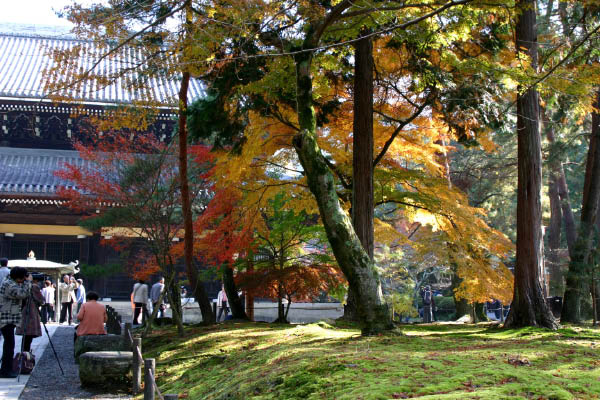 image0000