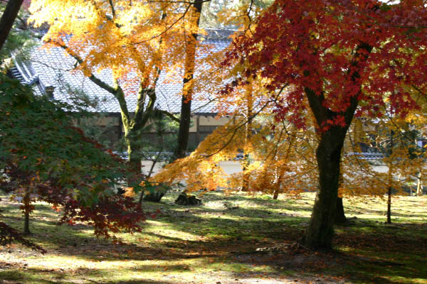 image0001