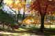 image0001