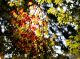 image0003