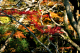 image0007