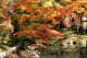 image0008
