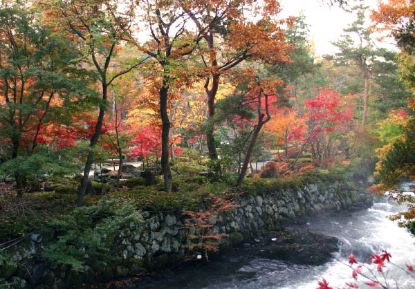 image0000