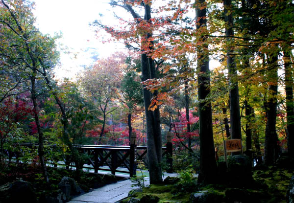 image0005