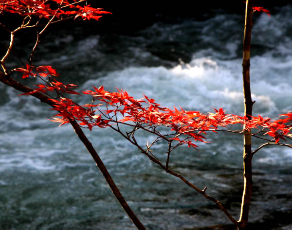 image0009