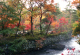image0000