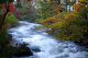 image0001