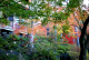 image0002