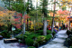 image0003