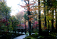 image0005