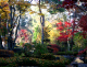 image0007