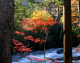 image0008