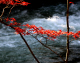 image0009