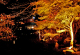 image0002