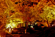image0003