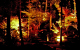 image0004
