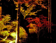 image0005