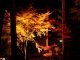 image0006