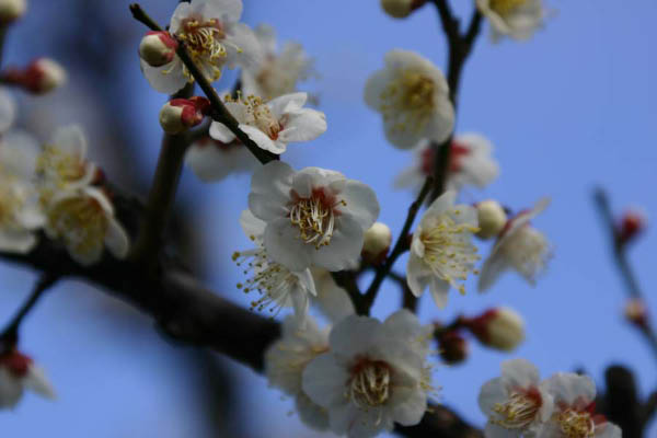 image0000