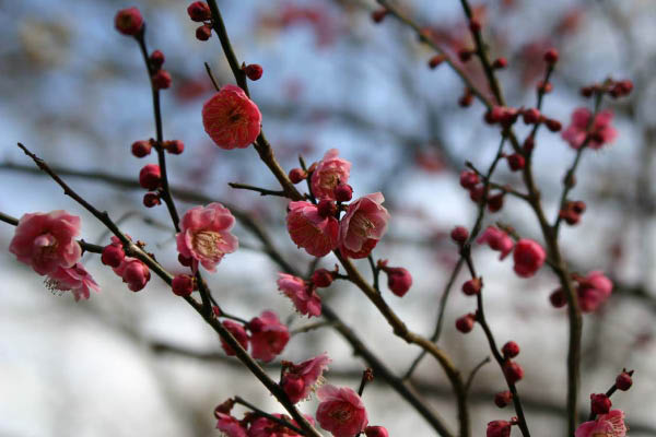 image0003