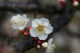 image0001