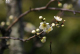 image0002