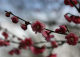 image0004