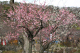 image0005