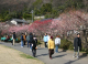 image0008