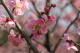 image0009