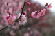 image0013